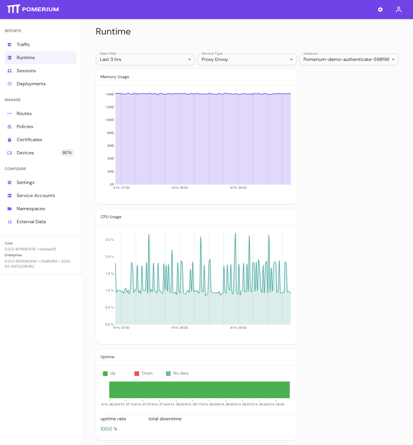 The Runtime Info page in Pomerium Enterprise